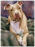 DIY 5D Diamond Painting Kits for Adults, Pitbull Diamond Painting Cute Puppy Dog Full Drills Crystal Rhinestone Art Embroidery Crafts, Home Wall Decor 12x16 inch