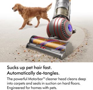 Dyson Ball Animal Upright Vacuum Cleaner – Powerful Pet Hair Removal