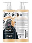 BUGALUGS Oatmeal & Aloe Vera Dog Shampoo dog grooming shampoo products for smelly dogs with fragrance, oatmeal puppy shampoo, professional Vegan pet shampoo & conditioner (500ml)