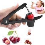 Cherry Pitter Tool,Cherry Pitter Cherry Stone Remover Tool for Making Cherry Jam Cherries Corer Pitter Tool，Cherry & Olive Pitter with Space-Saving Lock Design,Cherries Corer Pitter Tool