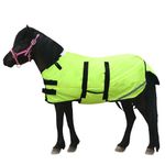 Gallopoff Foal/Mini Horse Size 30"-48" Waterproof & Breathable 300 Denier Winter Turnout Blanket with 150g Polyfill Green Medium