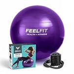 Exercise Ball Gym Ball, 65cm Pregnancy Ball Anti-burst Birthing Ball for Pregnancy Maternity Labour & Yoga, Swiss Ball Yoga Ball Core Training for Home, Office with Quick Pump, Purple