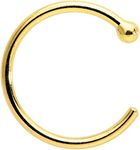 Body Candy 18k Gold Nose Hoop Ring,