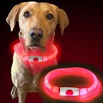 MURR Dog Light Up Collar | Flashing Dog Collar | Dog Collar Light | Rechargeable USB Dog Collar Light for Night | Red