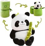 Niku Bamboo Panda Soft Toy Teddy Bear for Girls, Kids | Birthday Gift for Girls, Wife, Boyfriend, Husband (Bamboo Panda, 30cm)