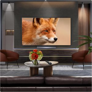 LG 55" OLED 4K Smart TV – Ultra HD HDR Display