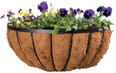 Panacea 88542 Cotswold Series Wall Planter, Black, 22-Inch