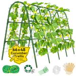 Sunwinx Garden Cucumber Trellis for Climbing Plants Outdoor- 66x48 Inch U-Shaped Cucumber Trellis for Raised Bed, Metal Arch Plant Trellis for Outdoor Vegetable Grape Pea Bean Vine Squash
