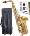 WUQIMUSC Beginner Alto Saxophone, E Flat - Complete Starter Kit with Case & 10 Reeds, for Adults & Students, Easy to Play for School Band & Practice(Gold)