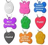 Dr. Fremont's Pet ID Tag Custom for