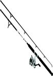 Daiwa DWB50-B/F1002M D-Wave Saltwater Spinning Combo, 1 Bearing, 10' Length, 2Piece Rod, Medium Power, Fiberglass Blank Material Black