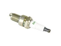 Briggs & Stratton 798615 Spark Plug