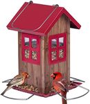 Kingsyard Cute Bird House Feeders f