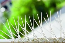 SigS Bird Polycarbonate Spikes (Pack of 10) with Double Sided Tap (12 x 4 inch), Anti Pigeon Spikes, Birds Protection & Pest Control Spikes for Balcony, Window AC, Split AC, Railing