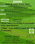 SEMER LAWN (GROUND) GRASS SEED -250 GM WITH FAN WATER SPRINKLER.