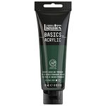 Liquitex Basics Acrylic Color (Hookers Green)