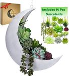 Hanging Moon Planter -14Pcs Artificial Succulents - Great for Air Plant, Mini Cactus, Faux, Artificial Plants-Boho Hanging Planters for Indoor Plants, Witchy Gifts for Women, Birthdays,Plant Lovers