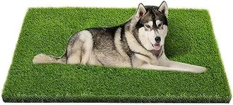 Artificial Grass, Professional Dog 