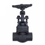 Globe Valve, 1/2" NPT(f), Forged Carbon Steel A105, 800#