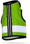 Kitty Holster Reflective Cat Harness, X-Large, Loud Lime