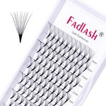 Premade Lash Fans 10D 0.07 Volume Lash Extensions Russian Premade Fans Eyelash Extensions Supplies Individual Lashes Volume Eyelashes (10D-0.07-C, 8-14mm)