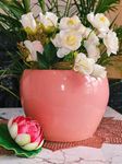 Niyara Big Ceramic Planter Indoor and Outdoor Flower Medium Plant Pot Container 7 inches Gamla (Pink)