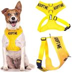 ADOPT ME (I Need A New Home) Yellow Colour Coded Non-Pull Front and Back D Ring Padded and Waterproof Vest Dog Harness PREVENTS Accidents By Warning Others Of Your Dog In Advance (S)