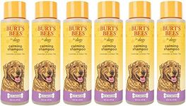 Burt's Bees for Pets Care Plus+ Naturally Derived Nourishing Conditioner with Avocado and Olive Oil - Cruelty Free, Formulated without Sulfates and Parabens - Made in USA, 12 Ounces