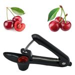 Cherry Pitter,Multi Cherry Stoner Tool Pit Remover,Olive Picker Fruit Cherries Seed Corer,Portable Multifunctional Professional Quick with Stainless Steel Pitting Device,for Hawthorn Cherrystone Plum