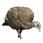 AVIAN-X LCD Feeder Hen Turkey Decoy