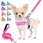 Lukovee Dog Leashes for Small Dogs, Lightweight Soft Small Dog Harness Neck & Chest Adjustable, Reflective Harness Anti-Twis Puppy Harness Vest Harness (XX-Small, Fuschia)