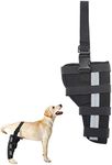 Dog Leg Braces for Back Leg,Dog Kne