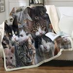 Sleepwish Cat Plush Blanket Soft Fl