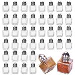 Voittozege 100 Pack Mini Salt and Pepper Shakers, 0.5 OZ Bulk Clear Glass Seasoning Jars Spice Shaker, Small Cube Glass Spice Shaker Container with Stainless Steel Lid for Kitchen Restaurant Supplies