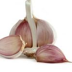 Garlic For Planting