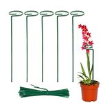 EXALT® 18 Inches Premium Plant Support Stakes, Sturdy Metal Construction for Strong and Healthy Plant Growth (Light Green - 5 pcs)