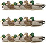 Avian-X Top Flight Open Water Mallard Duck Decoys, Ultra Realistic Floating Hunting Decoys with Weight Forward Swim Keel, Multicolor, 6 Pack (3 Pack)