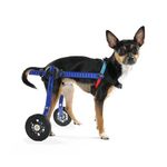 Walkin' Wheels Dog Wheelchair - XS for Mini/Toy Breeds 2-10 Pounds - Blue