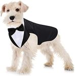 Dog Tuxedo and Bandana Set Dogs For