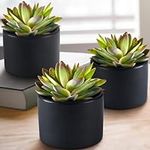 SEEKO Artificial Succulent Plants in Ceramic Pots - 3 Pack Faux Potted Plant Decor, Black Bathroom Decor Accessories, Home Décor Gifts, Small Fake Desk Plant for Home Office, Kitchen or Book Shelf