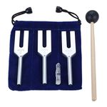 Angel Tuning Forks Set - 4096 Hz, 4160 Hz, 4225 Hz for Sound Healing, Musical Instrument, Therapym, with Silicone hammer and Soft Storage Bag