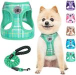 BEAUTYZOO Small Dog Harness and Lea