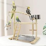 Holzsammlung Bird Playground, Wooden Parrot Stand Bird Play Stand, Parrot Perch Stand with Ladder, Bird Play Gym Toy Cage Accessories for Small Middle Parakeets Cockatiels Finches Budgie Lovebirds