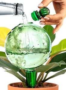 Plant Wate