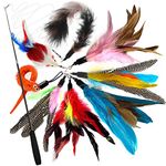 onebarleycorn Cat Feather Toys,Cat Toy Feathers for Indoor Cats Kitten Interactive Toys Retractable Cat Teaser Wand with 8 Refills