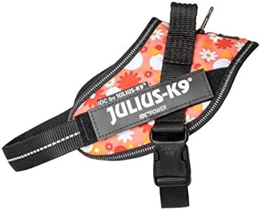 JULIUS-K9 