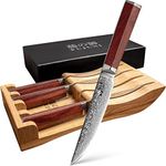 FUJUNI Steak Knives Set of 4 with i