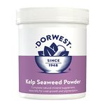 Kelp For Dogs Organic