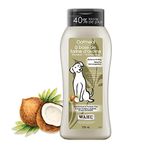 Wahl Canada Dog Oatmeal Shampoo, Plant Derived Shampoo in Coconut, Lime, Verbena to Help Sooth Dry Itchy Skin, Paraben-Free, 700ml, model 58322