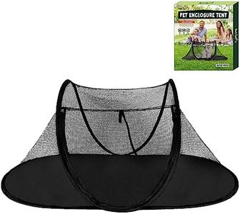 Cat Tent O